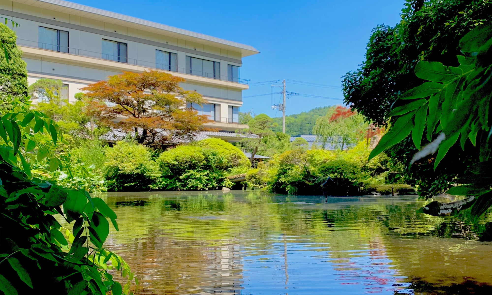 龍門亭千葉旅館オンラインギャラリー